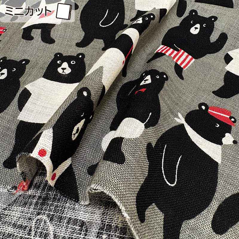 ★2025-03-A16 ミニカット