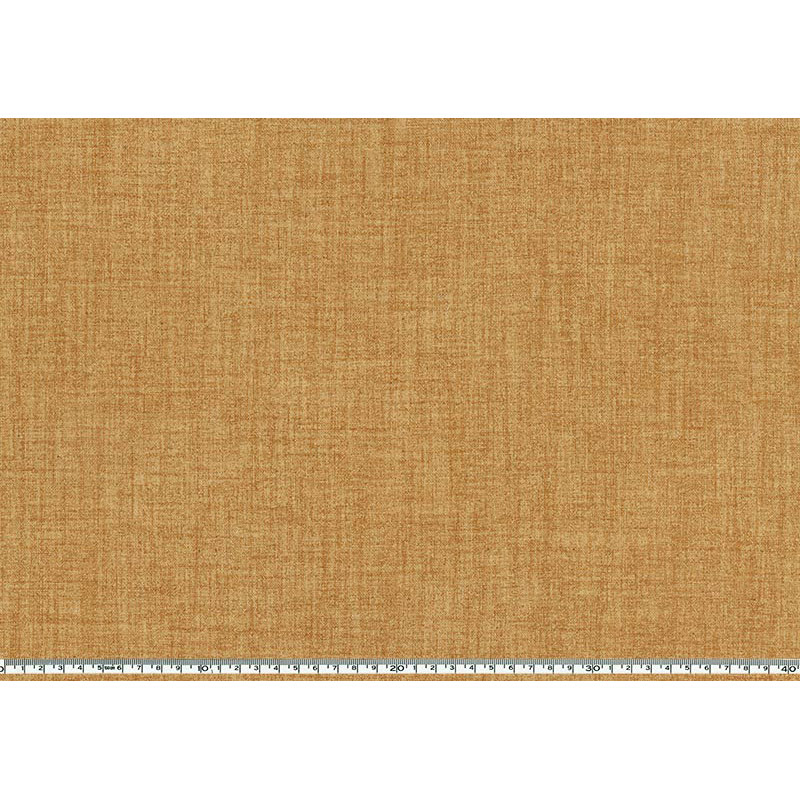 ★2025-03-A17 ミニカット