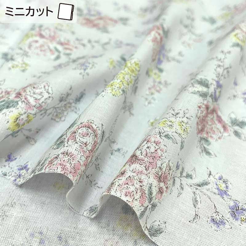 ★2024-02- A 02 ミニカット