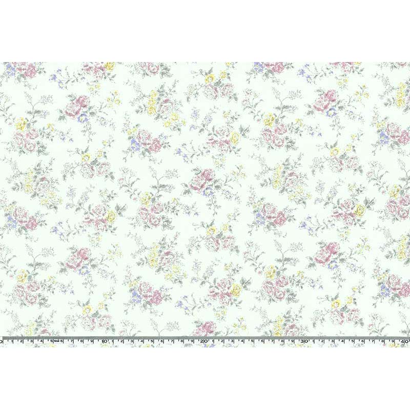 ★2024-02- A 02 ミニカット