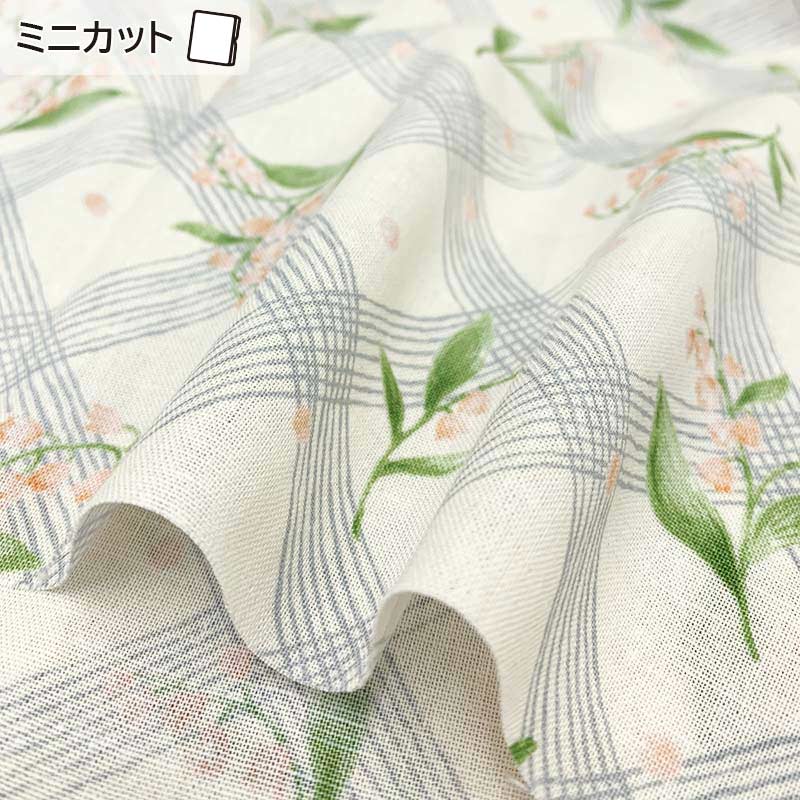 ★2024-02- A 05 ミニカット