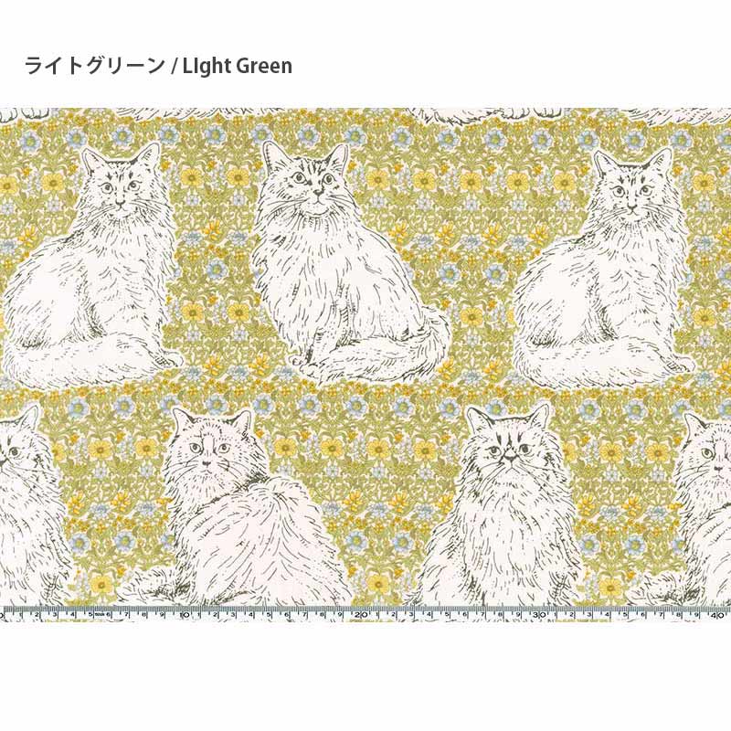 web20260409-01　ネコのあそびば　10cm　