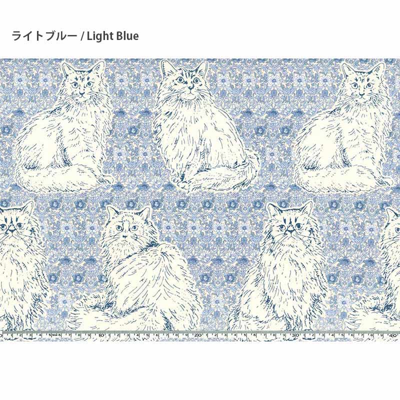 web20260409-01　ネコのあそびば　10cm　
