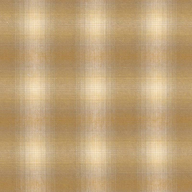 web2507-A14 イエロー ミニカット