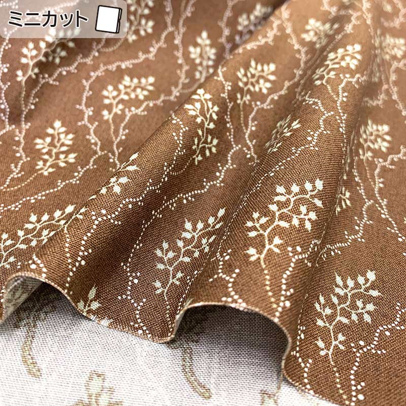 ★2024-02- A 10 ミニカット