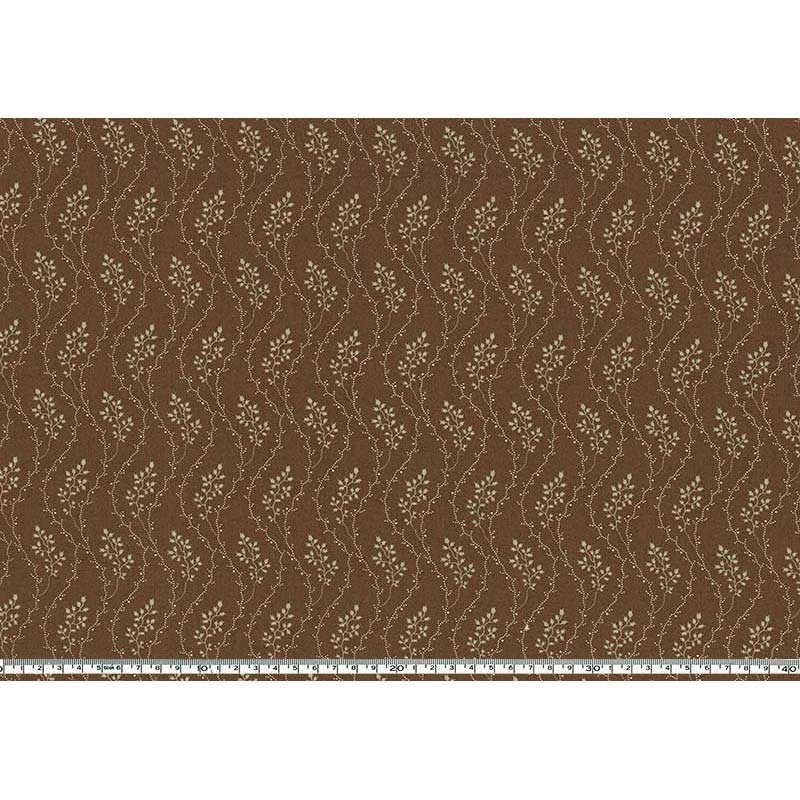 ★2024-02- A 10 ミニカット