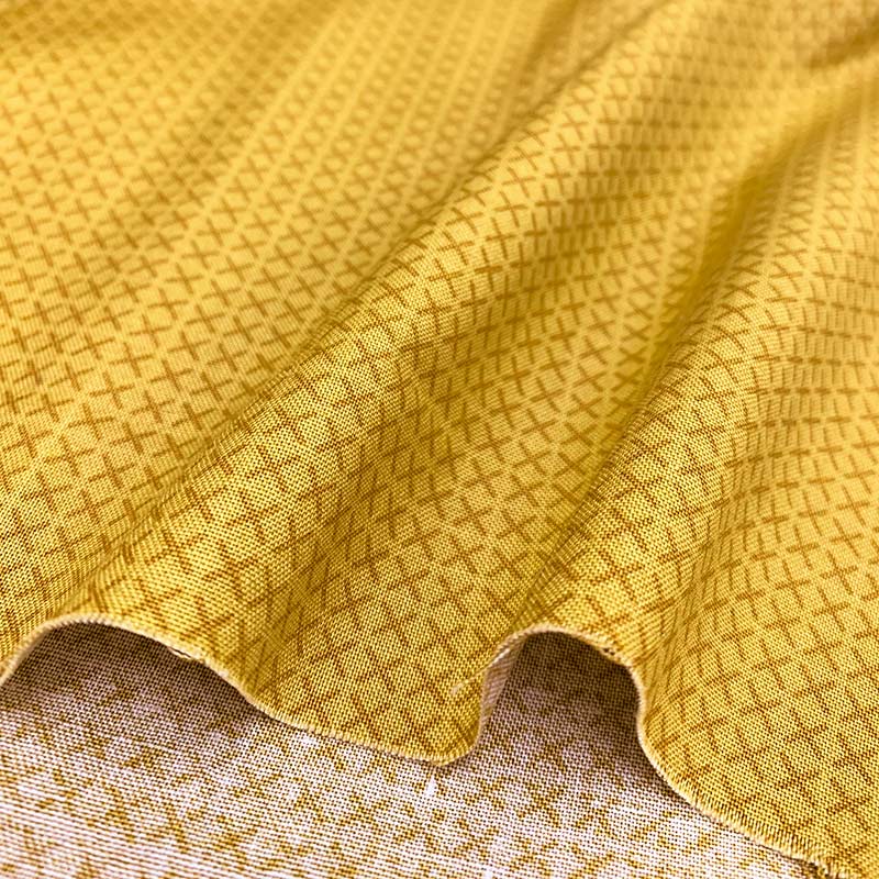 ★2024-02- A 12 ミニカット