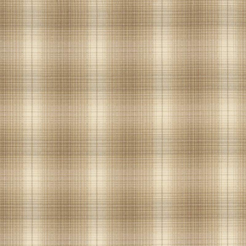 ★2024-01- A 08 ミニカット