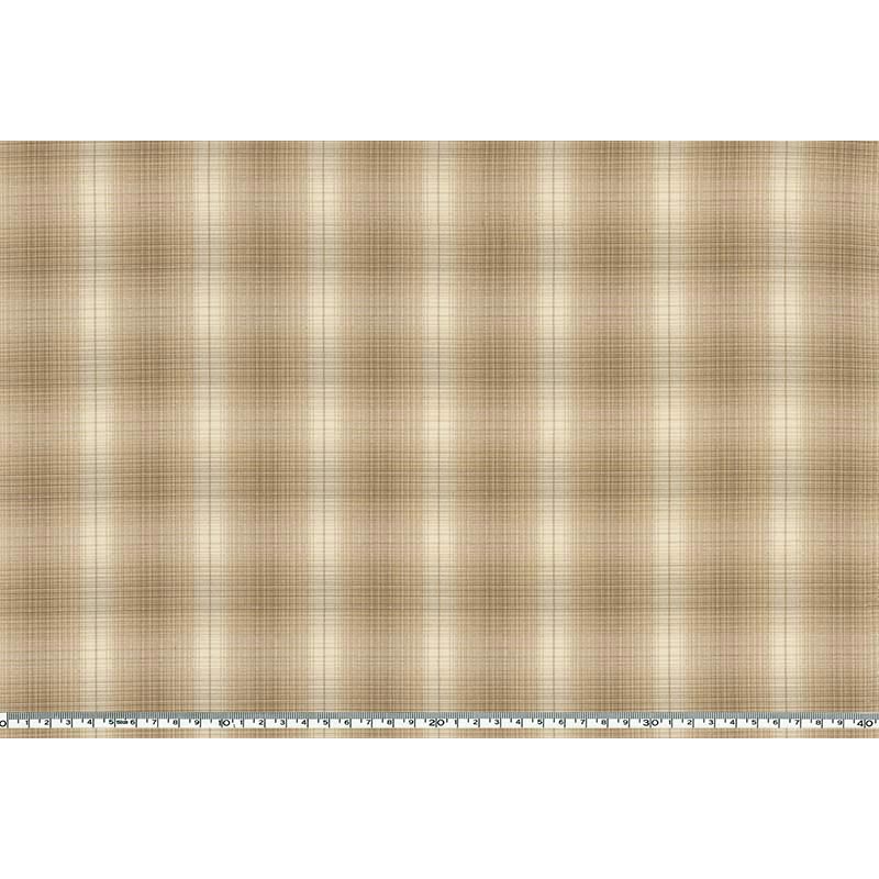 ★2024-01- A 08 ミニカット