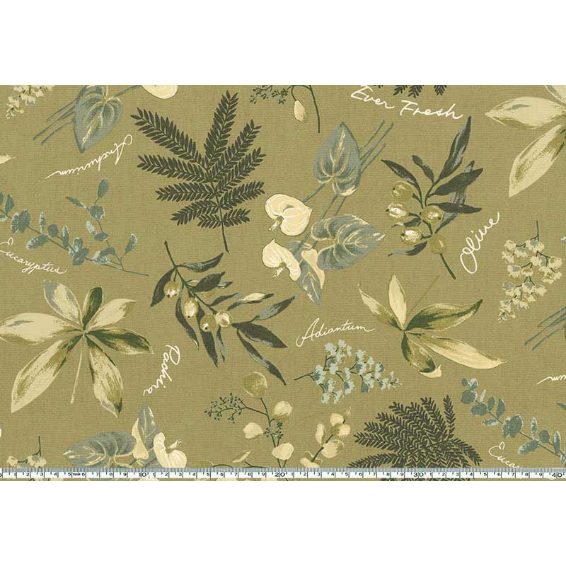 ★2025-03-A14 10cm (プレゼント付き)