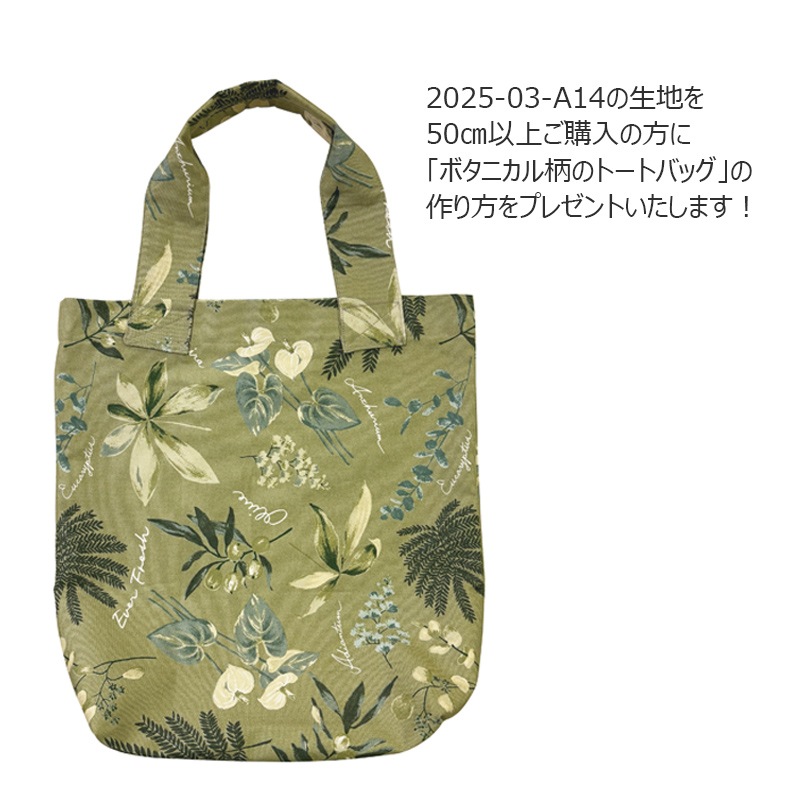 ★2025-03-A14 10cm (プレゼント付き)