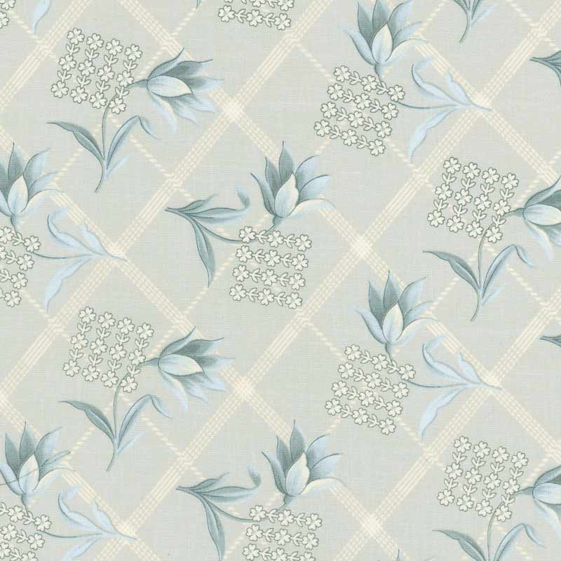 ★2024-07-A06  ミニカット 定価￥220 / 枚 税込