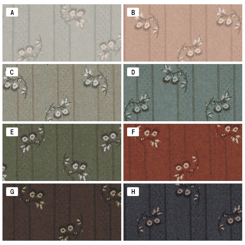 センテナリー29 [10524] 10cm