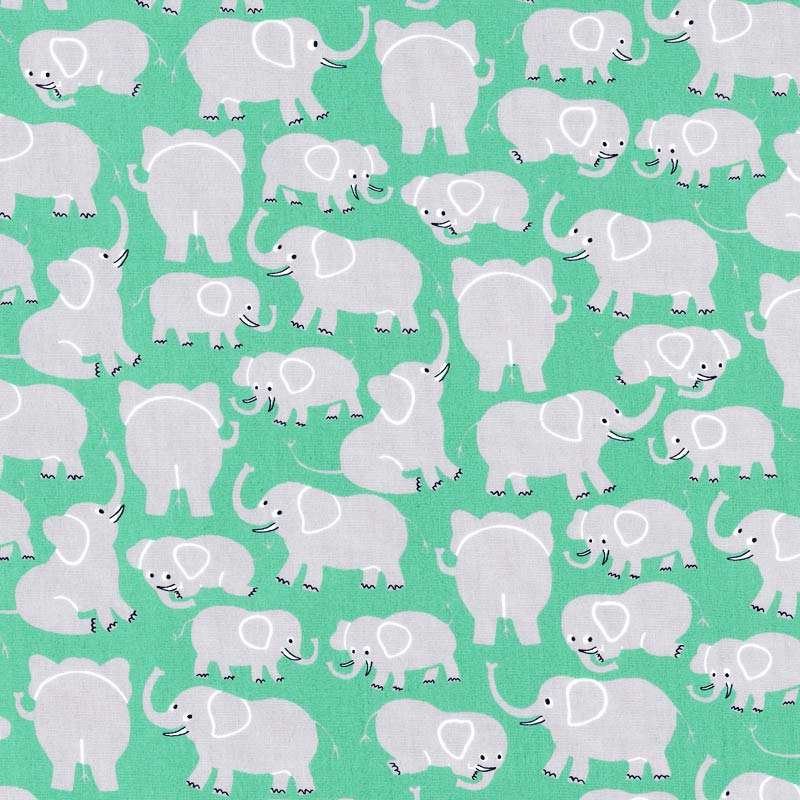 ★2024-03- A 01 10cm