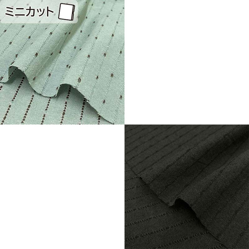 web20250116-02 先染めドットストライプ ミニカット