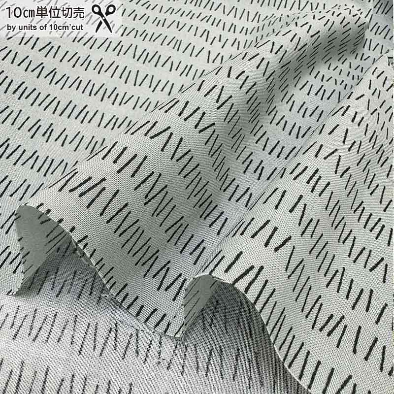 ★2025-02-A03 ミニカット