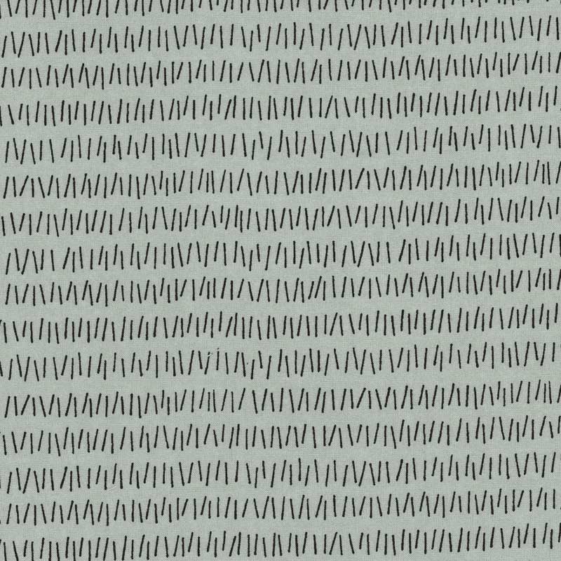 ★2025-02-A03 ミニカット