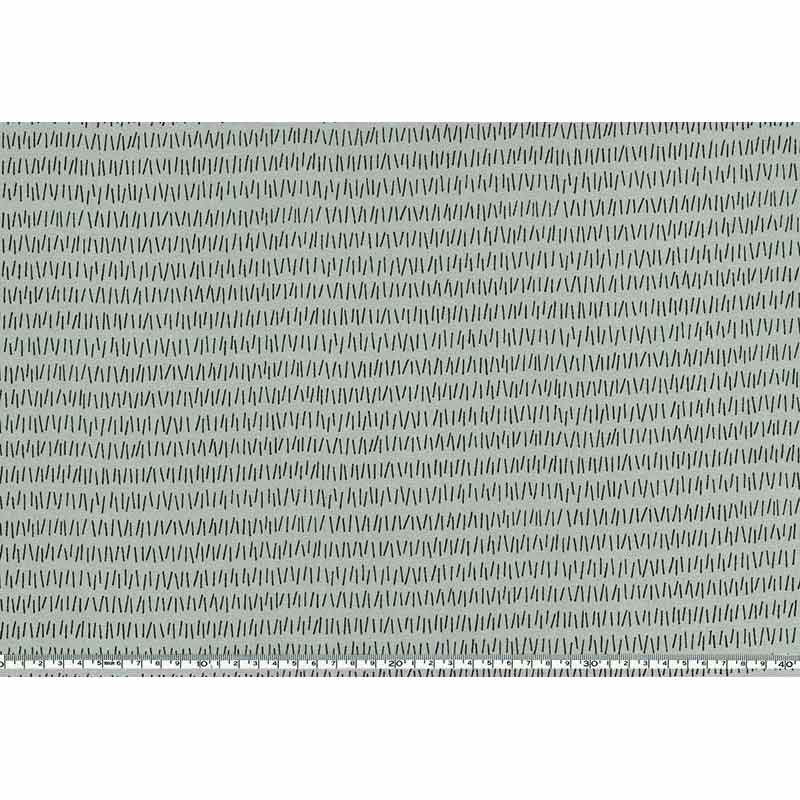 ★2025-02-A03 ミニカット