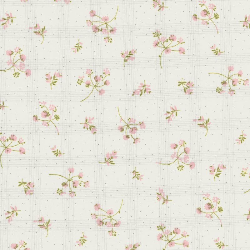 ★2024-01- A 03 10cm