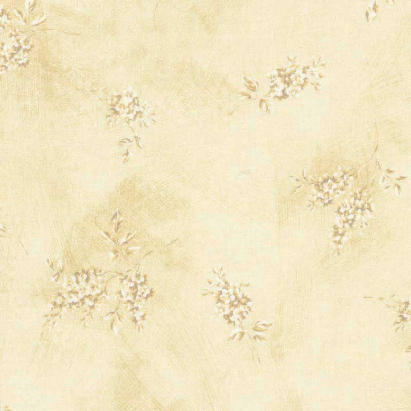 ★2025-02-A05 ミニカット