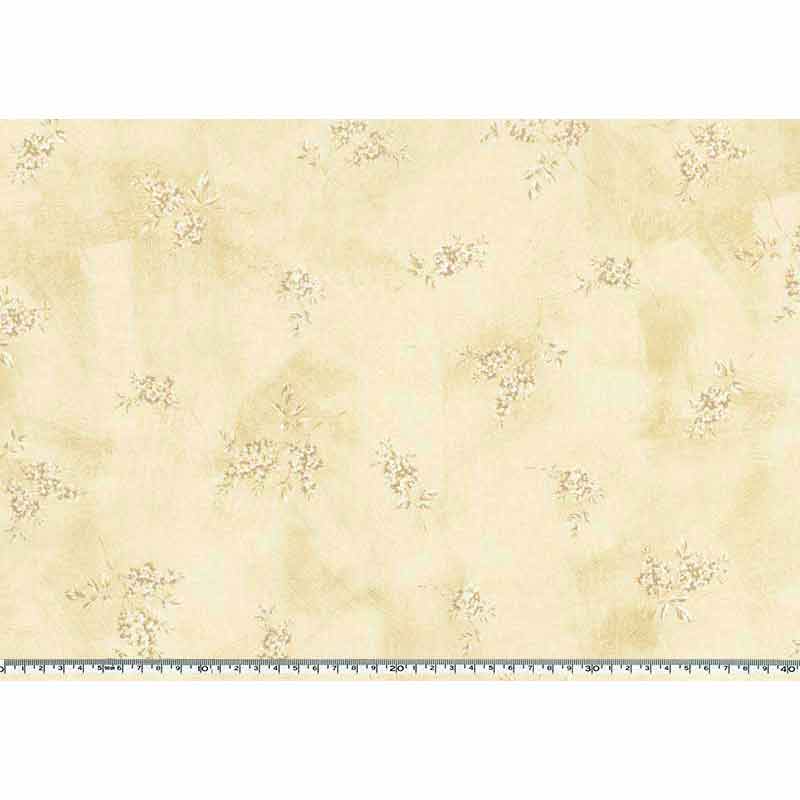 ★2025-02-A05 ミニカット