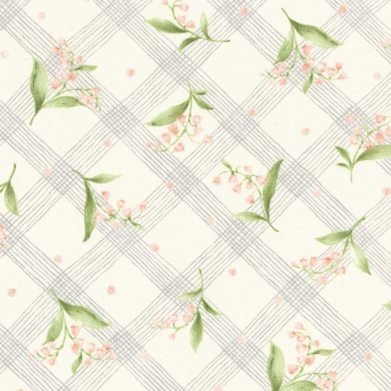 ★2024-02- A 05 10cm