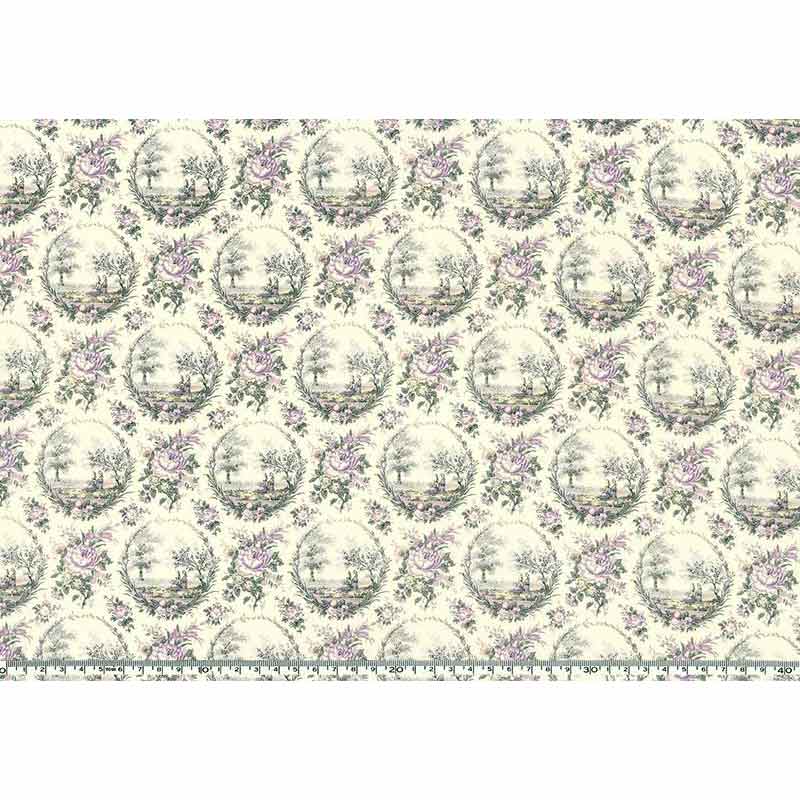 ★2025-02-A06 ミニカット