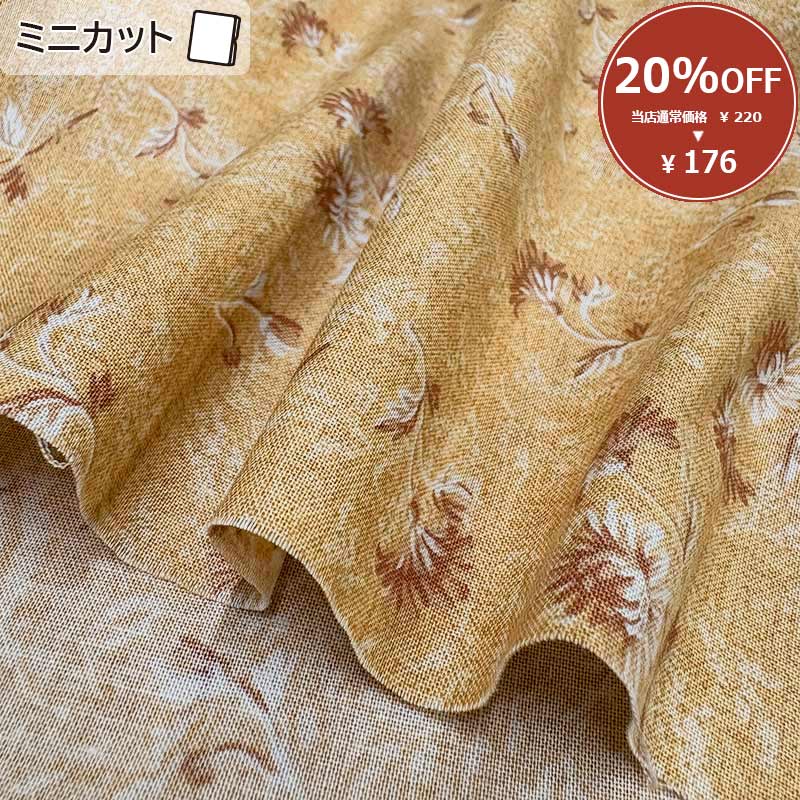 ★2024-07-A13  ミニカット 定価￥220 / 枚 税込