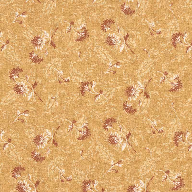 ★2024-07-A13  ミニカット 定価￥220 / 枚 税込