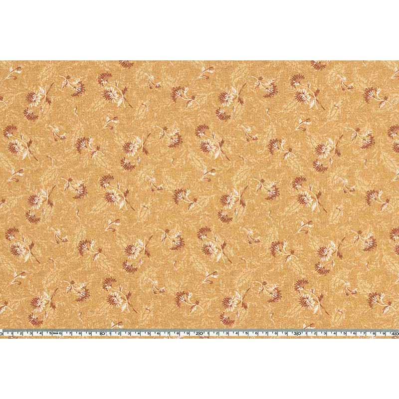 ★2024-07-A13  ミニカット 定価￥220 / 枚 税込