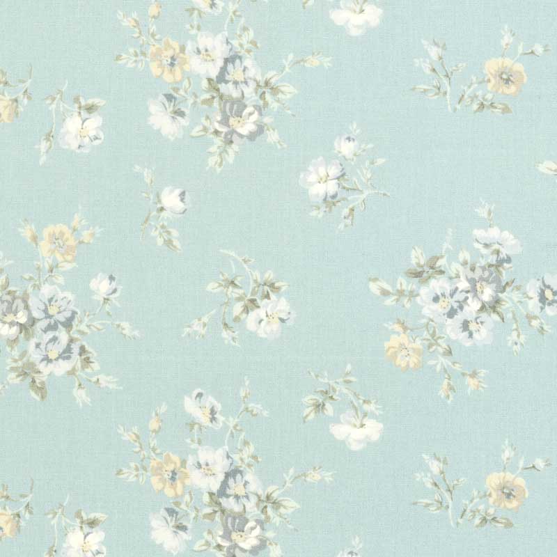 ★2025-02-A07 ミニカット