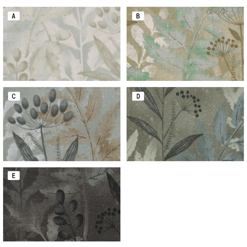 センテナリー29 [10523] ミニカット