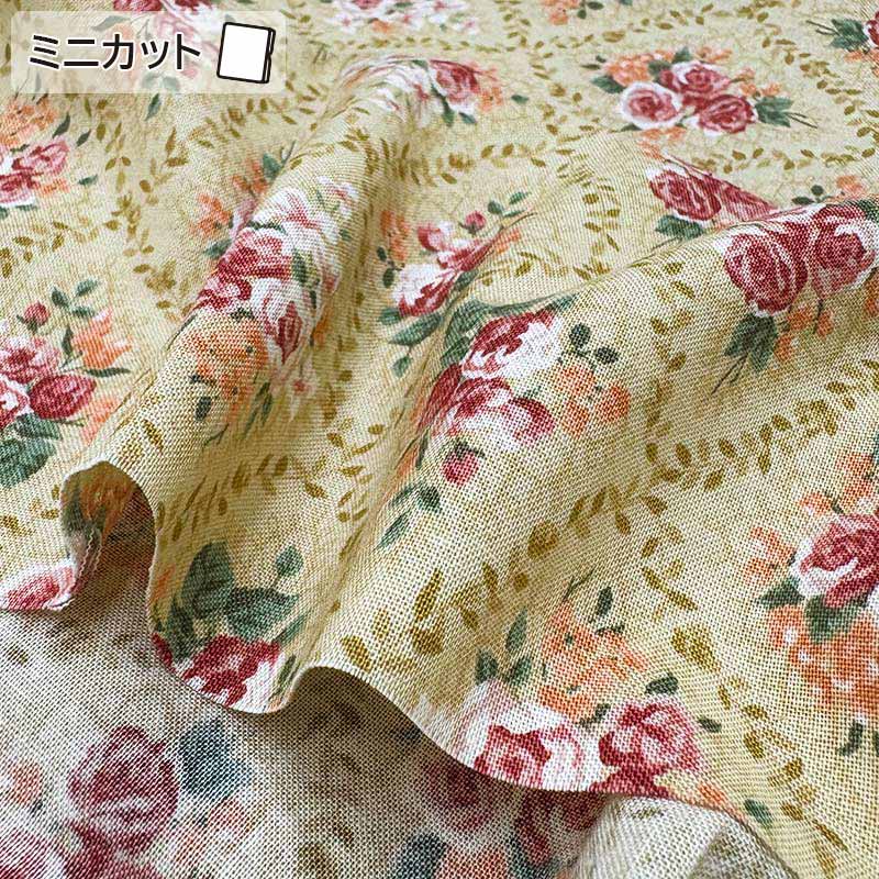 ★2025-06-A03 ミニカット