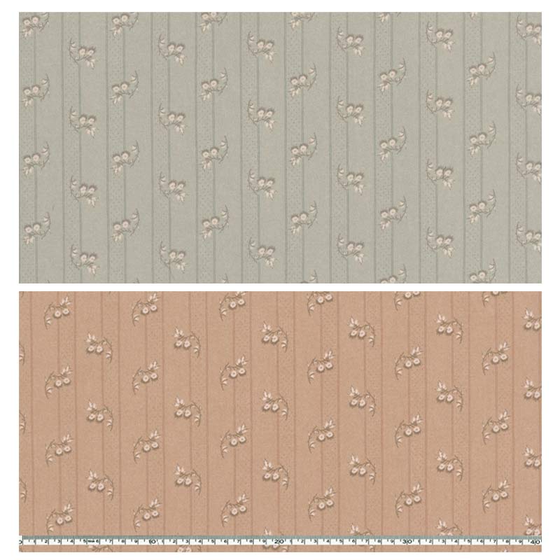 センテナリー29 [10524] ミニカット