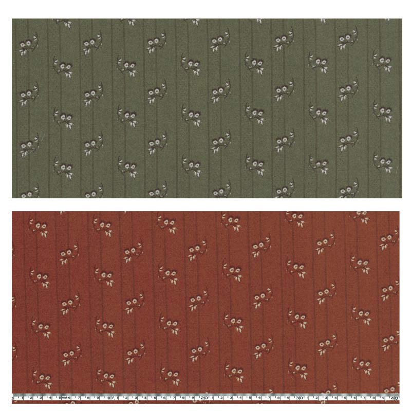 センテナリー29 [10524] ミニカット