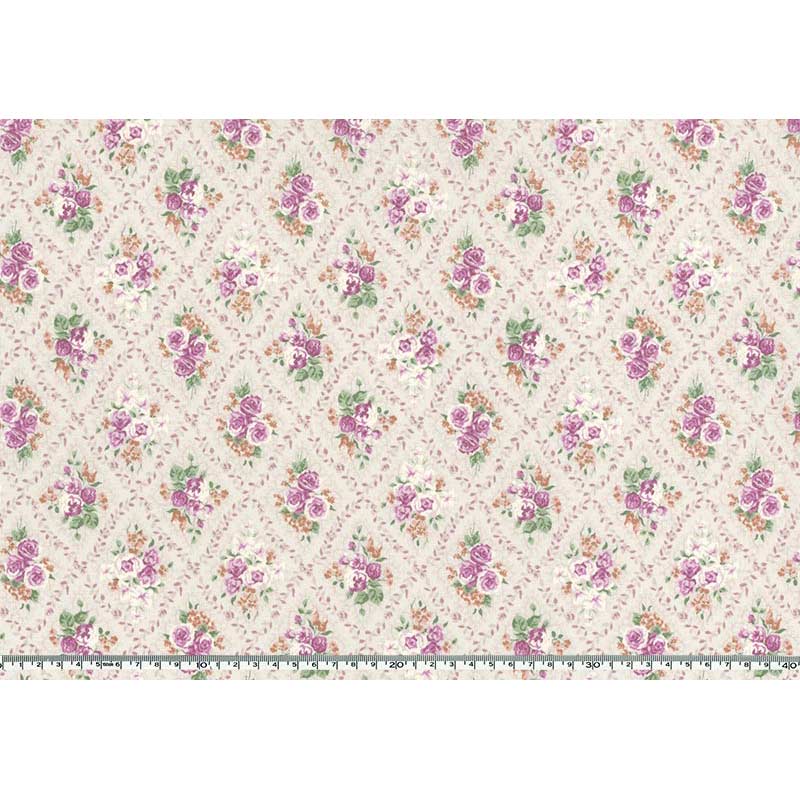 ★2025-06-A04 ミニカット