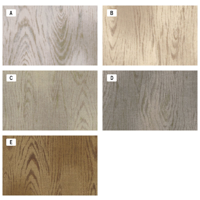 センテナリー29 [10525] ミニカット