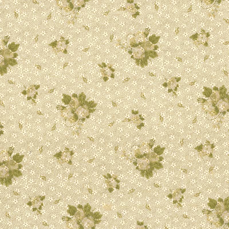 ★2025-06-A05 ミニカット