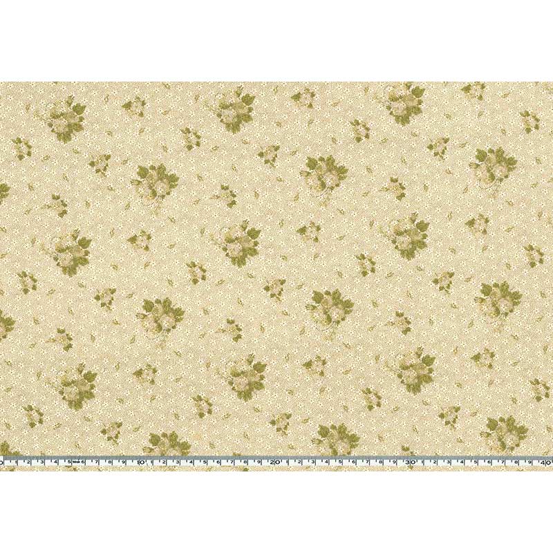 ★2025-06-A05 ミニカット