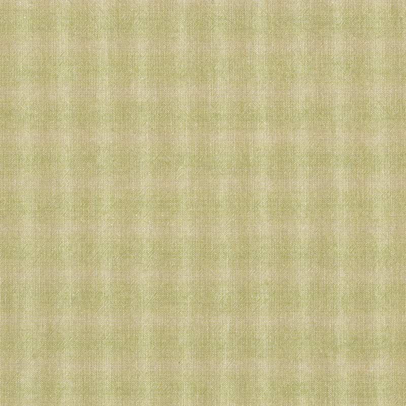 ★2025-06-A06 ミニカット