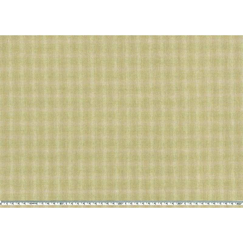 ★2025-06-A06 ミニカット