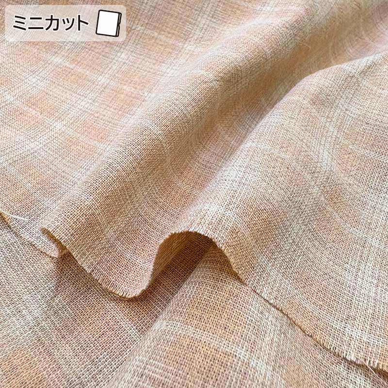 ★2025-06-A07 ミニカット