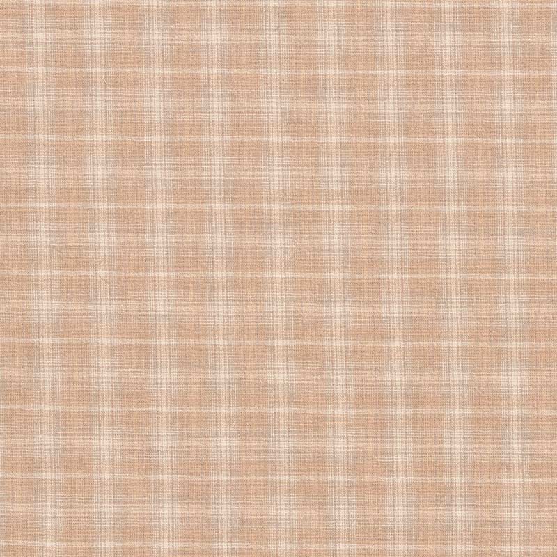 ★2025-06-A07 ミニカット