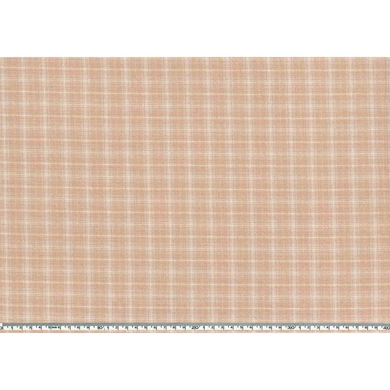 ★2025-06-A07 ミニカット