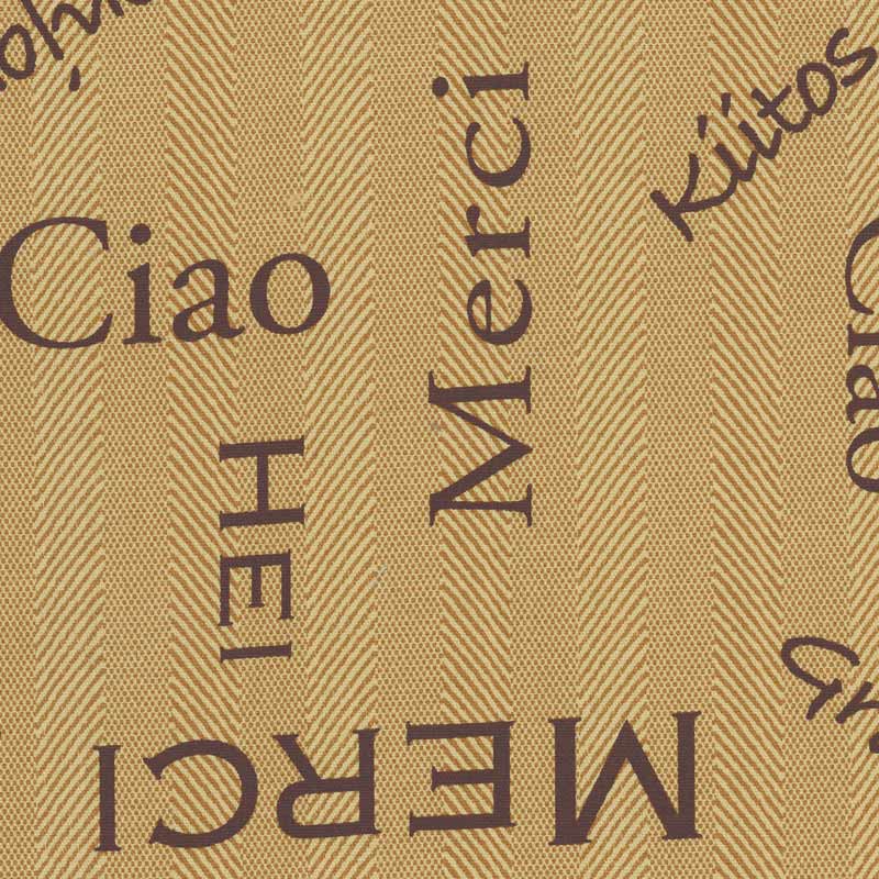 ★2025-02-A15 ミニカット