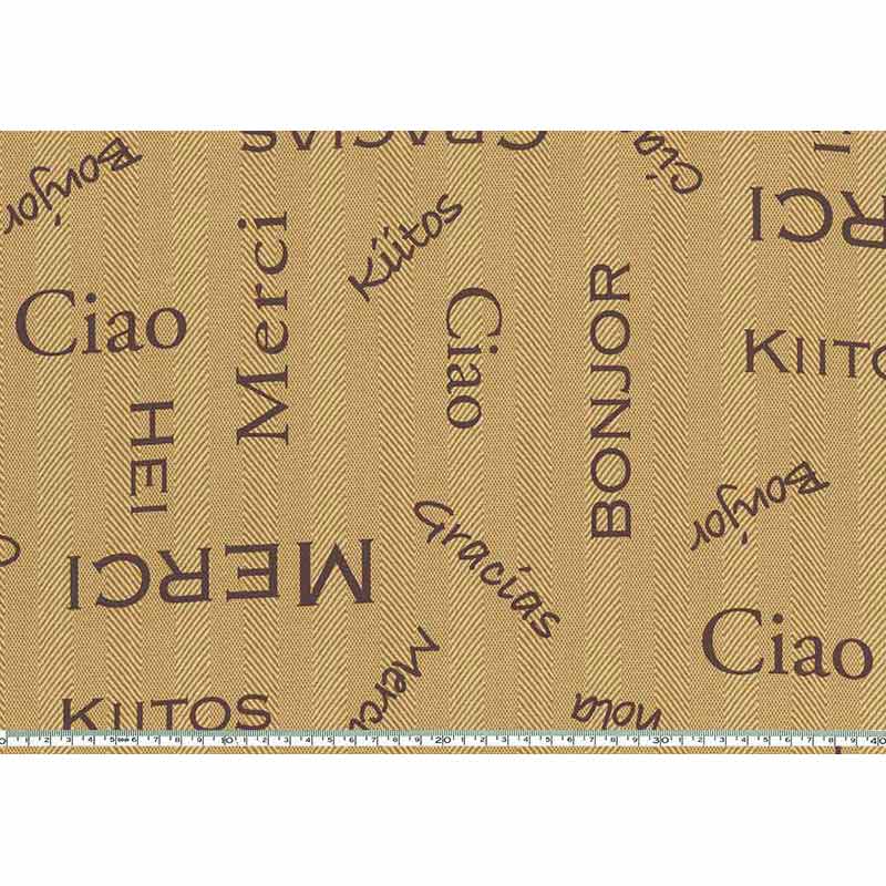 ★2025-02-A15 ミニカット