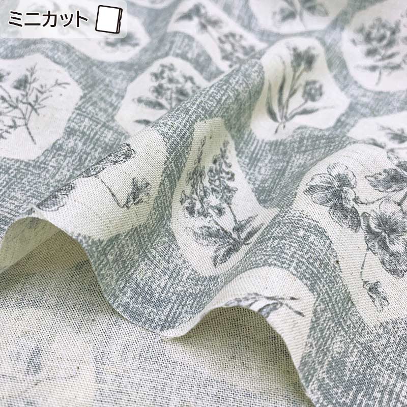 ★2024-04-A01 ミニカット