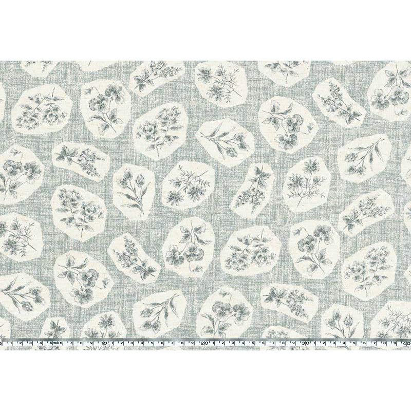 ★2024-04-A01 ミニカット