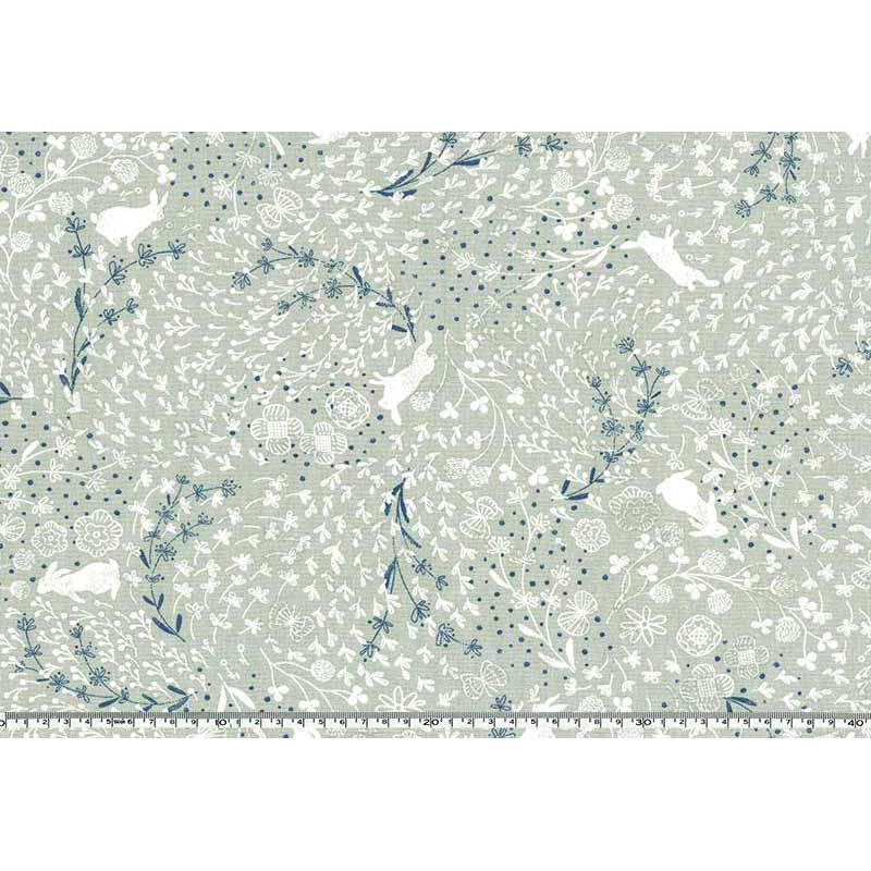 ★2024-05-A07 ミニカット