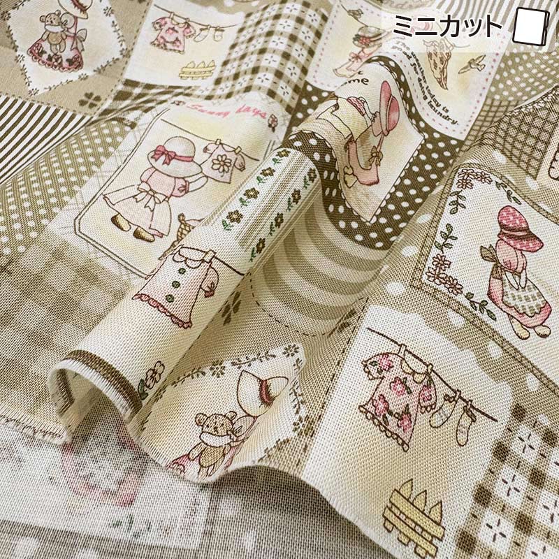 ★2025-01-A07 ミニカット